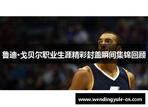 鲁迪·戈贝尔职业生涯精彩封盖瞬间集锦回顾