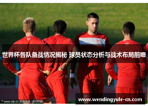 世界杯各队备战情况揭秘 球员状态分析与战术布局前瞻