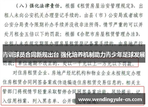 青训球员合同新规出台 强化培养机制助力青少年足球发展