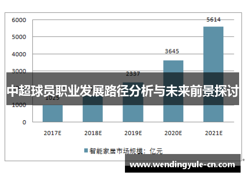 中超球员职业发展路径分析与未来前景探讨