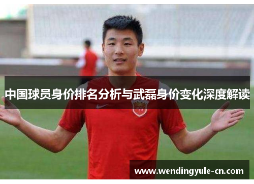 中国球员身价排名分析与武磊身价变化深度解读